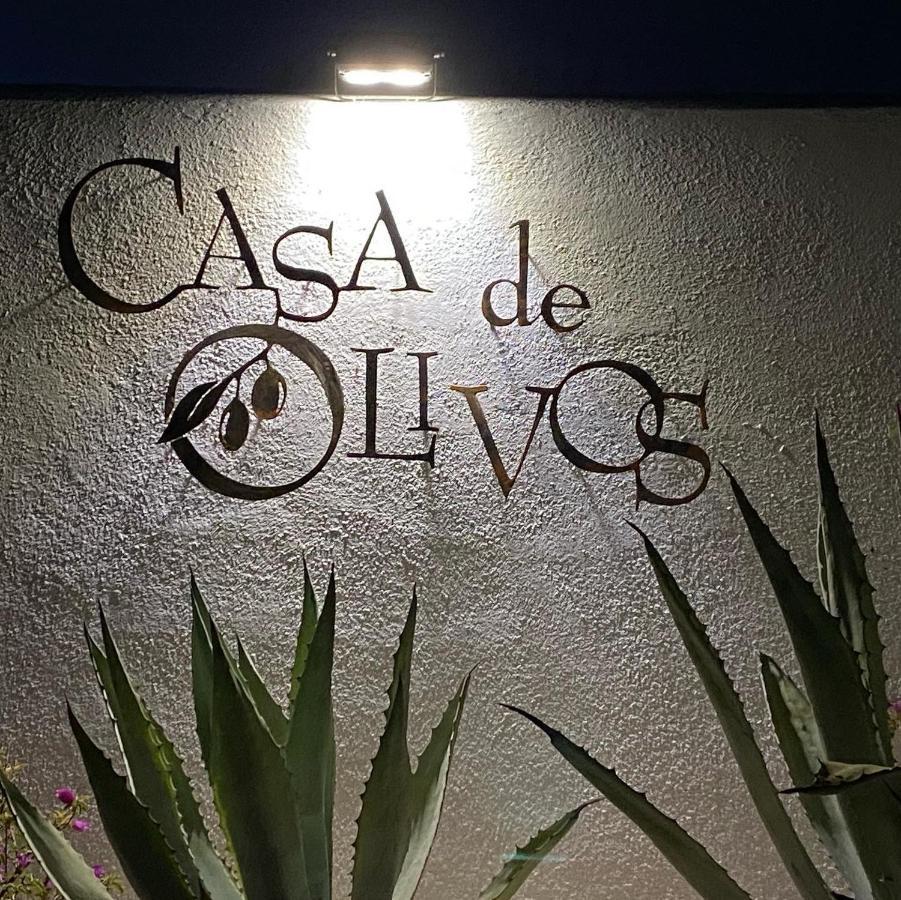 Apartment Casa De Olivos - Unique - Adult Only