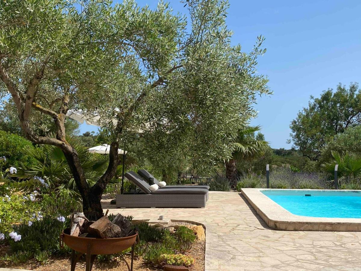 Apartment Casa De Olivos - Unique - Adult Only