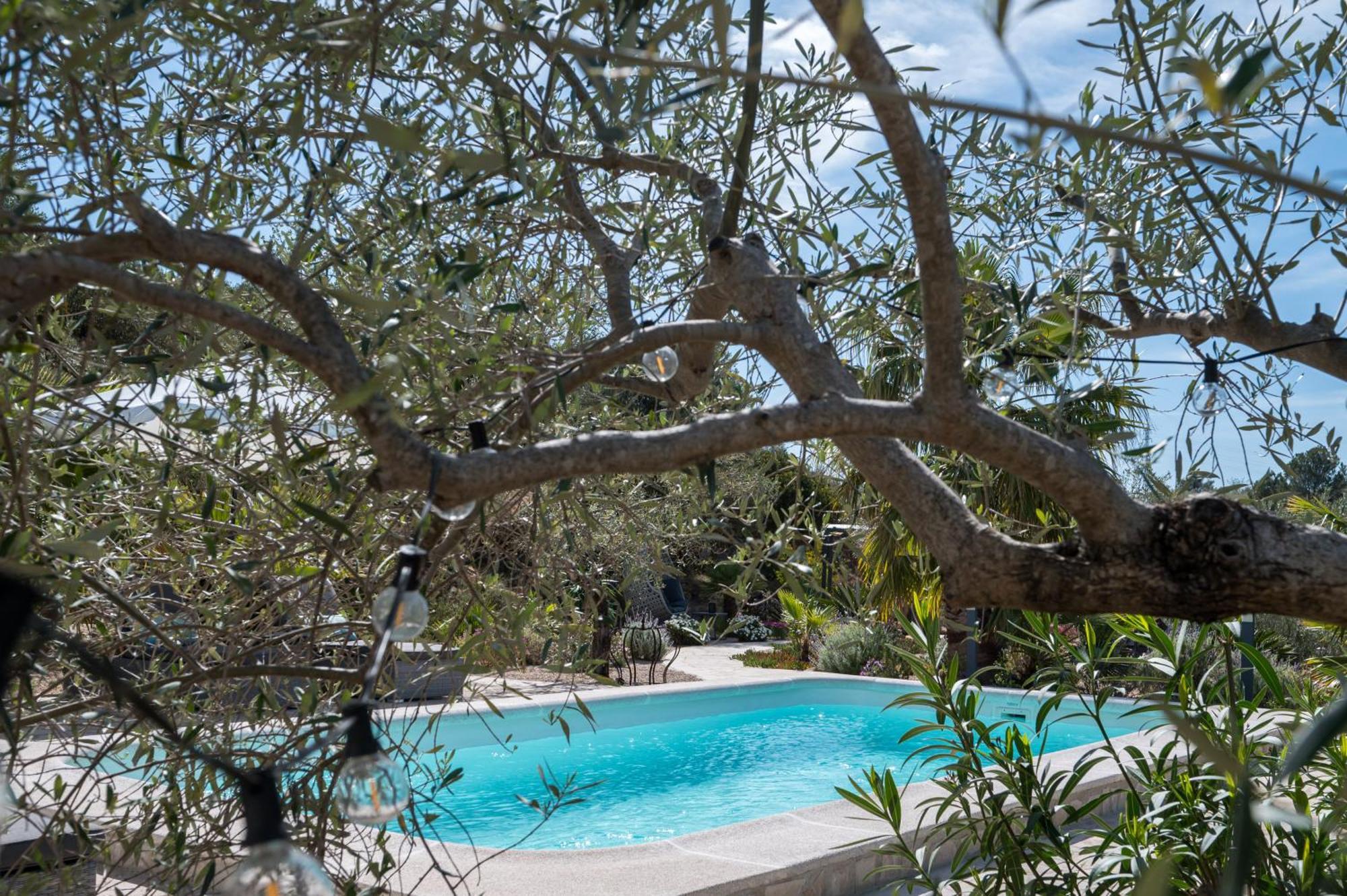 Casa De Olivos - Unique - Adult Only Apartment